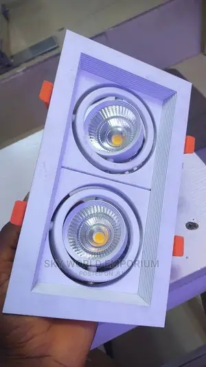 Double Recessed Spotlight