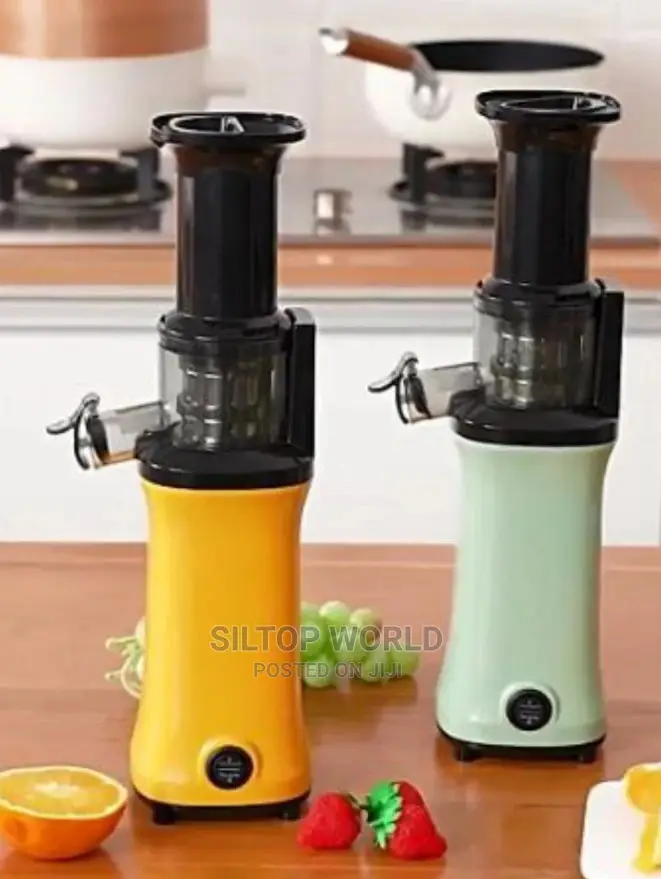 Mini Slow Juicer