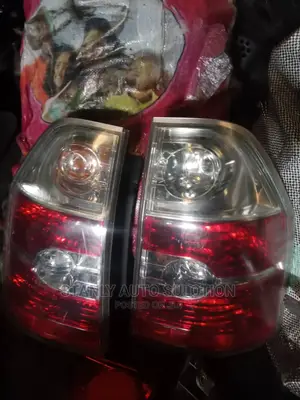 Real Lamp Acura Mdx 06