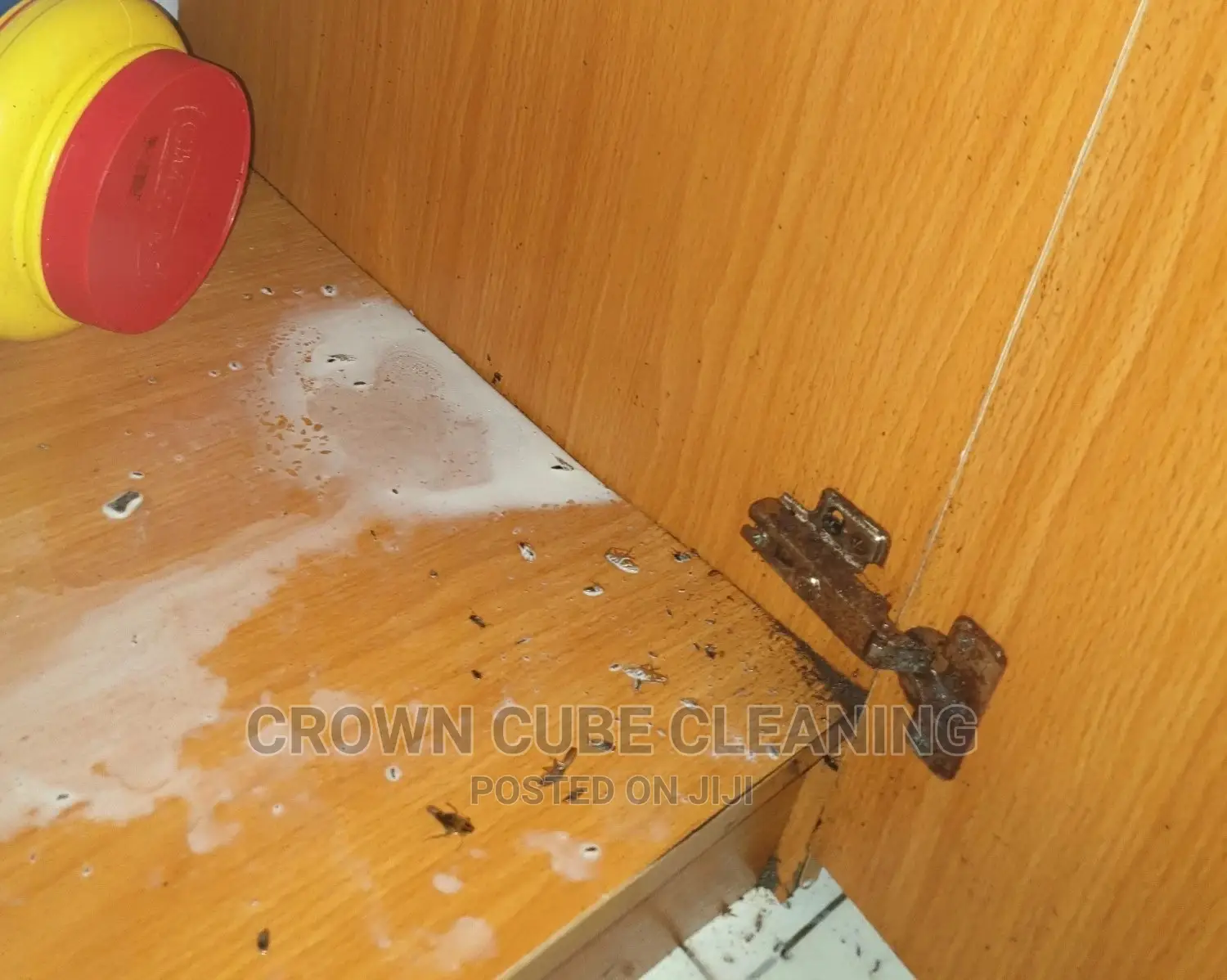 Fumigation Services | House Fumigation Services