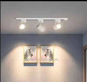Track Lights