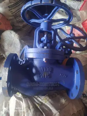 Dn 100 Globe Valve for High Pressure