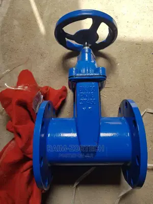 Dn 150 Rubber Tongue Gate Valve