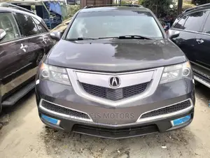 Acura MDX 2010 Gray