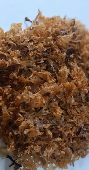 Irish Sea Moss(Other Name Seaweed)Organic Wild Crafted 250g