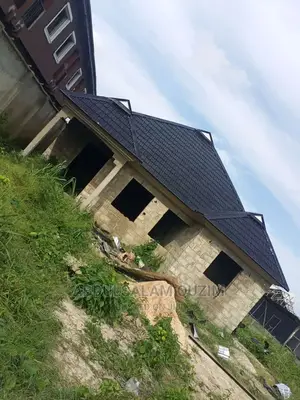 Roof Work and Water Connector