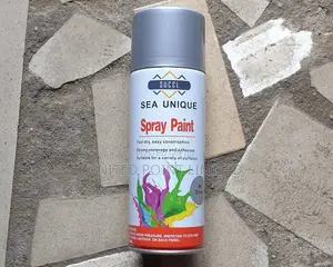 Sea Unique Spray Paint Silver