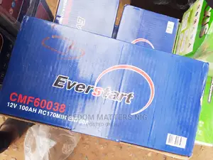 Everstart 100ahms