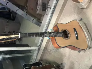 Fender Semi Acoustic Guitar