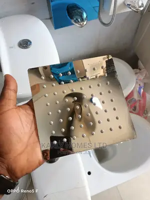 Stainless Shower Rose (Head Shower)