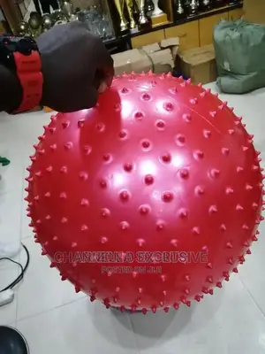 Premium Massage Ball