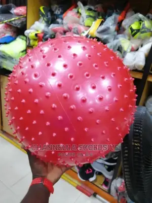 Premium Massage Ball