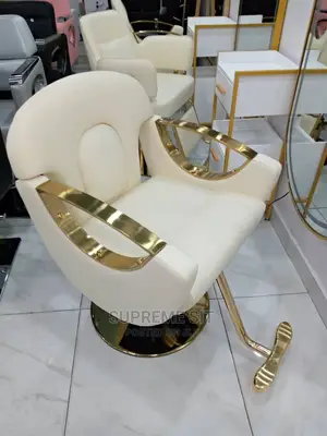 Salon Chair
