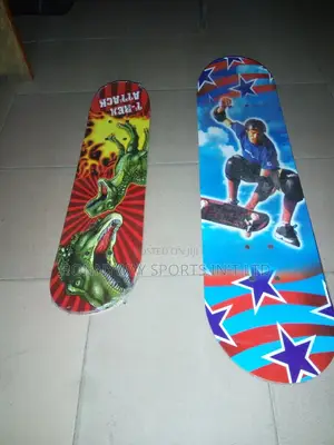 Adult Skating Professional Board