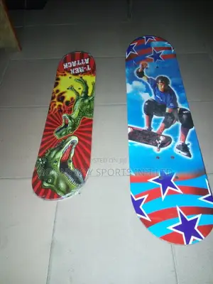 Adult Skating Professional Board