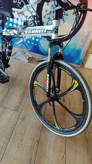 Double Shock Absorber Foldable Adult Bicycle