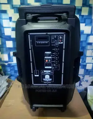 Luxury Sound Pa System 15"