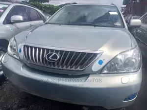 Lexus RX 2009 Silver