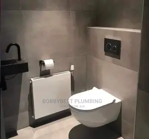 Professional Plumber