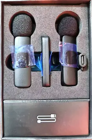 Wireless Microphone 2 in 1