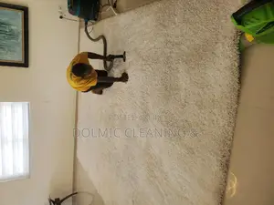Professional Carpet Cleaner
