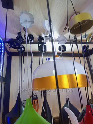 Quality Modern Ceiling Mounted Single Pendant Light Single