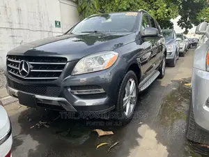 Mercedes-Benz M Class 2015 Gray