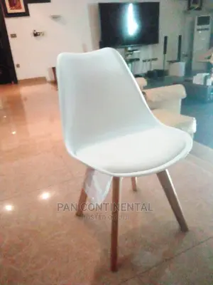 Brand New Plastic Chair With Foam