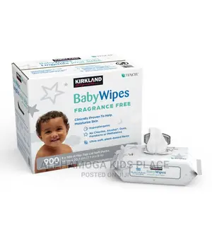 Kirkland Signature Wipes