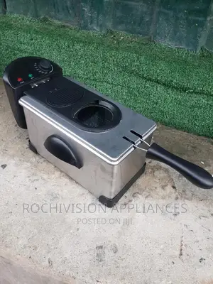 Professional Deep Fryer Industrial Deep Fryer Electric Fryer