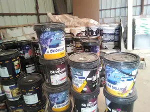 DN Paint Best Quality Nd Standard Paint Both in Coverage