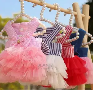 Pet Clothes