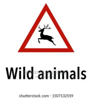 Warning Dangerous Animals Sign
