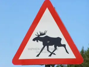 Wild Animals Warning Sign