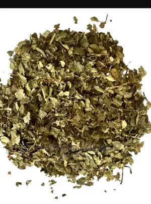 Birch Dried Leaf Known as Betula Alba or Betula Pendula 250g