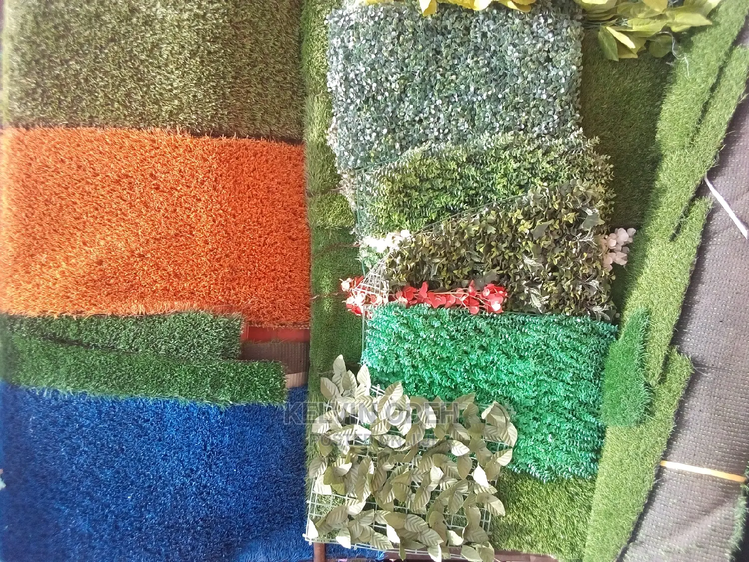 Carpet Grass