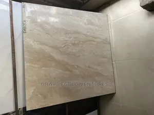 Polished Design Sitting Room Floor Tiles