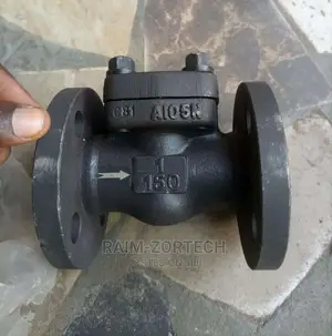 Flange Steam Non-Return Valve by 150