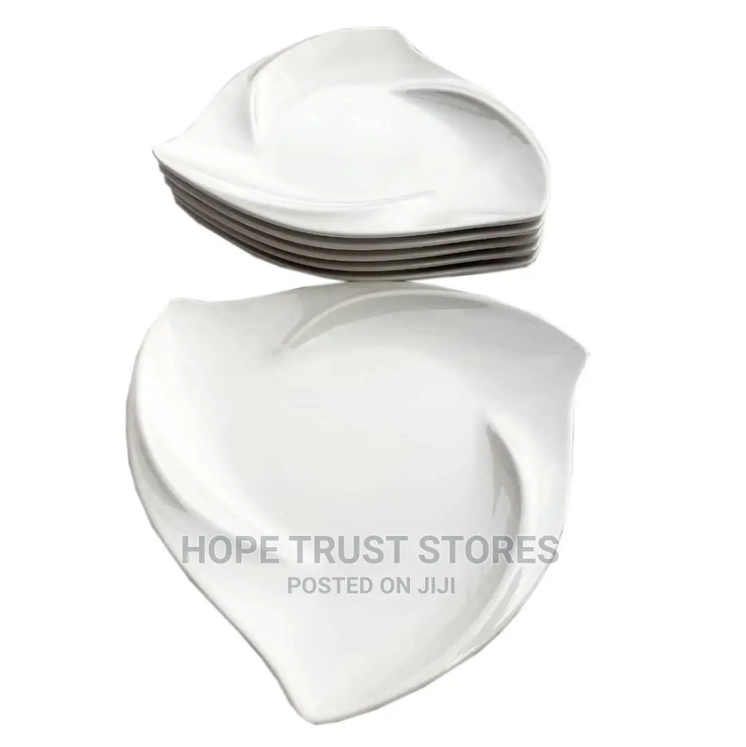 Unbreakable Triangle Flat Plate