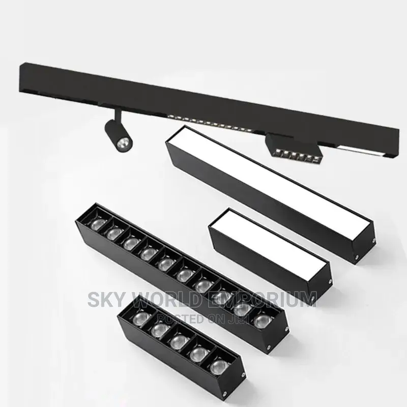 Magnetic Track Light
