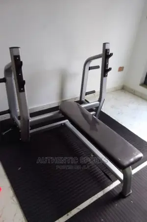 Commercial Weight Bench With Back Bar Row