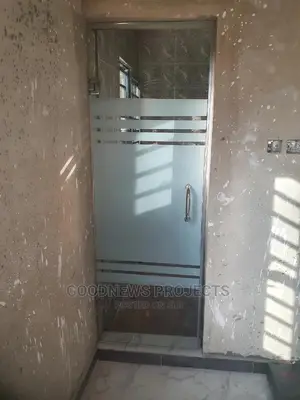 Frameless Toilet Glass Doors