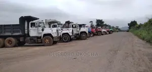Chippings Granite (Black Stone)