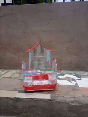 Foreign Cage for You Canary and Love Birds
