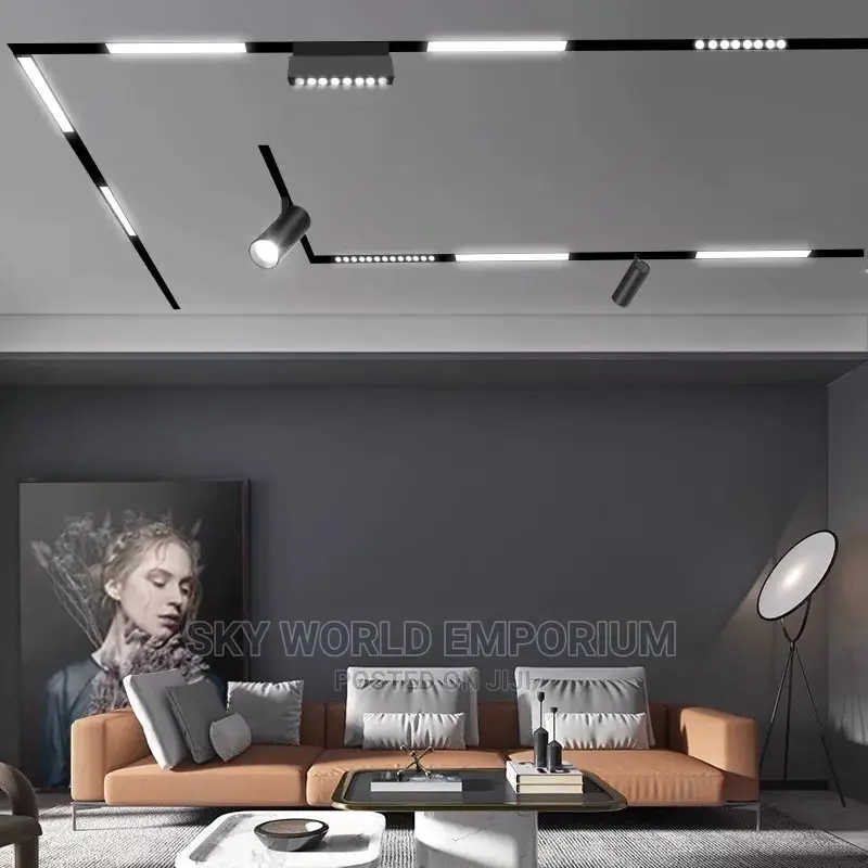 Magnetic Track Light