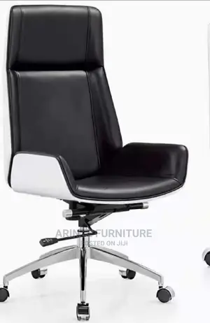 Executive Fashion Chair