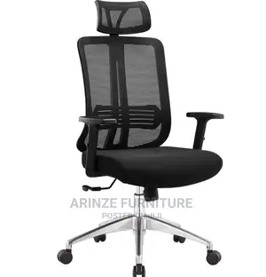 Executive Net Chair