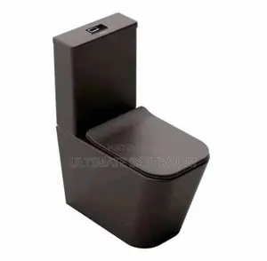 Matte Black Seat And Tank Watercloset