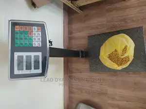 Digital Scale/Platform Scale