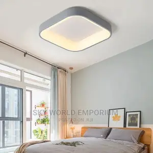 Ceiling Light